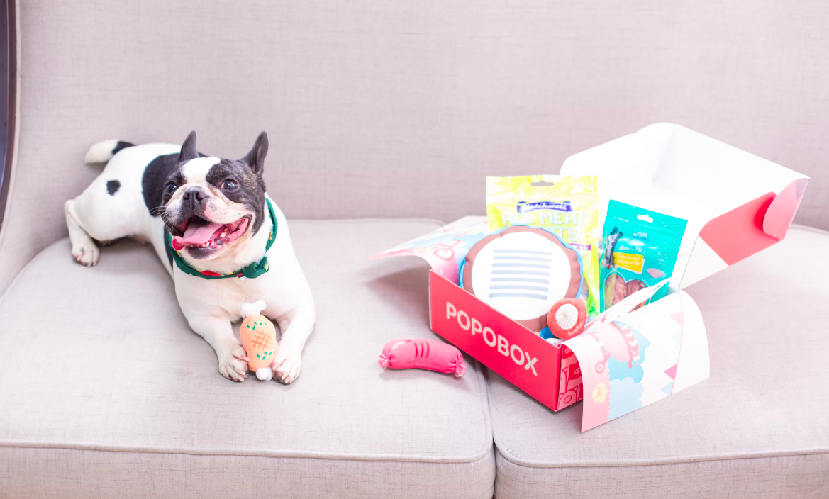 Pet Essentials
